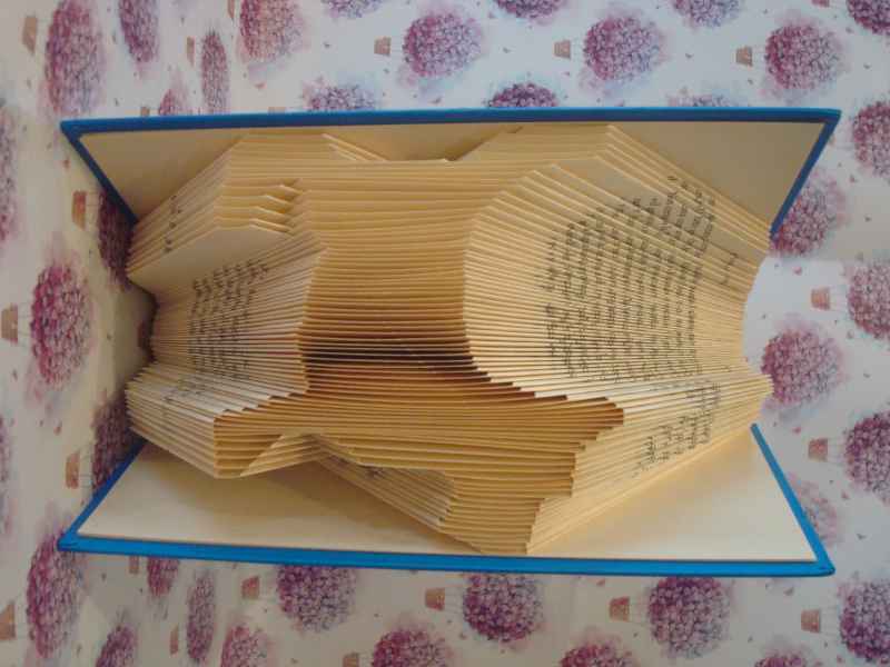 BookFolding - Cane